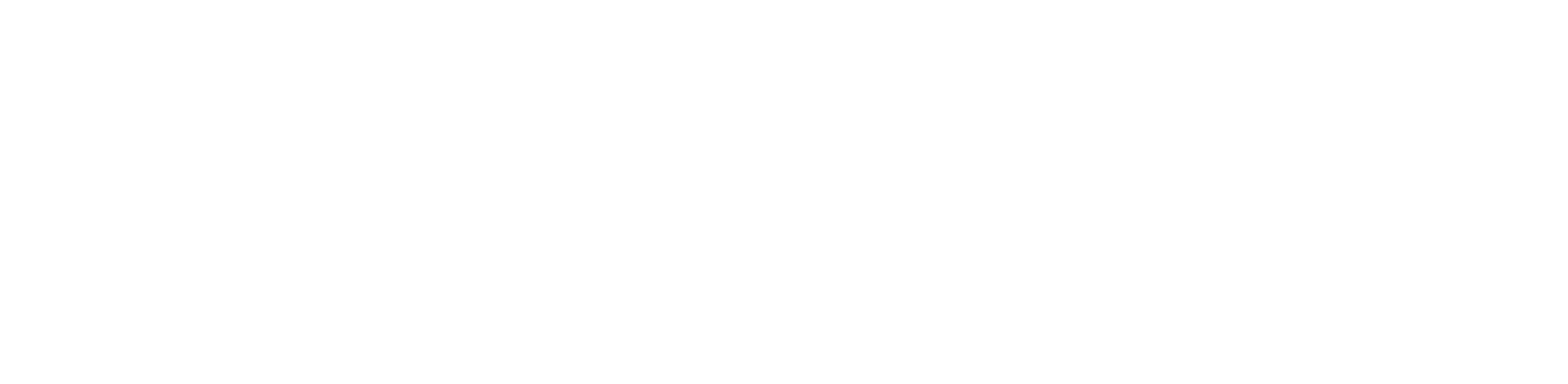 Armée New York